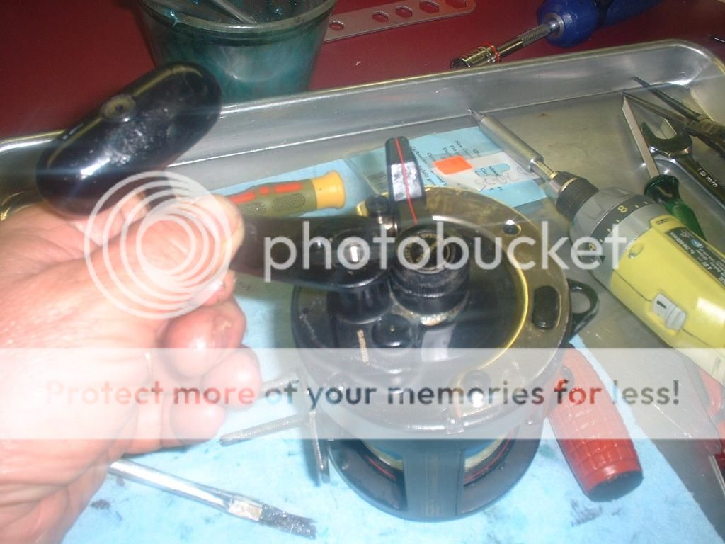 Shimano TLD 25 rebuild — Florida Sportsman